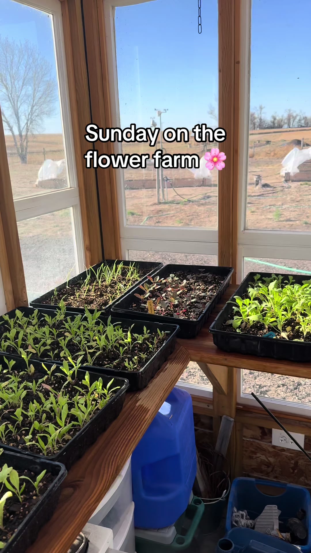 @Sandy Acres Farm