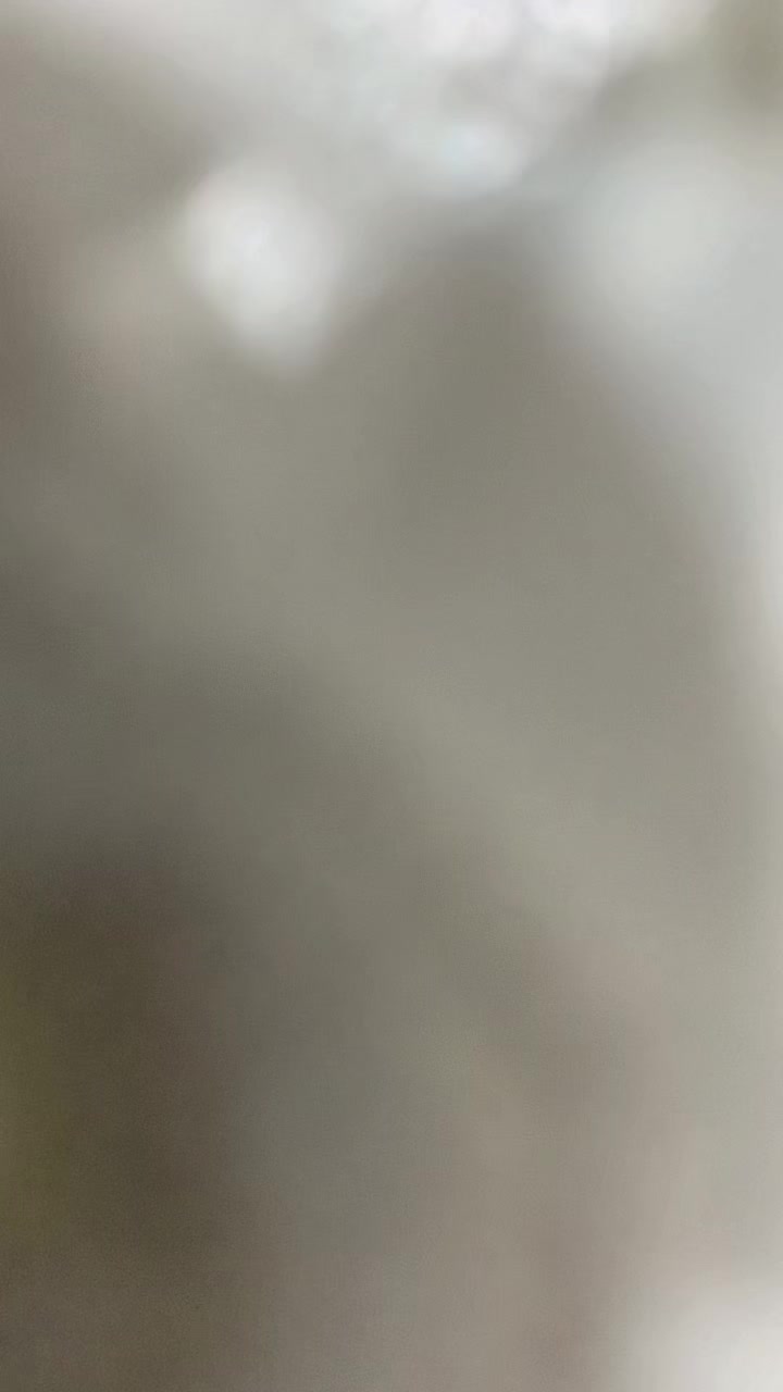 @Thu Ngân áo cóm