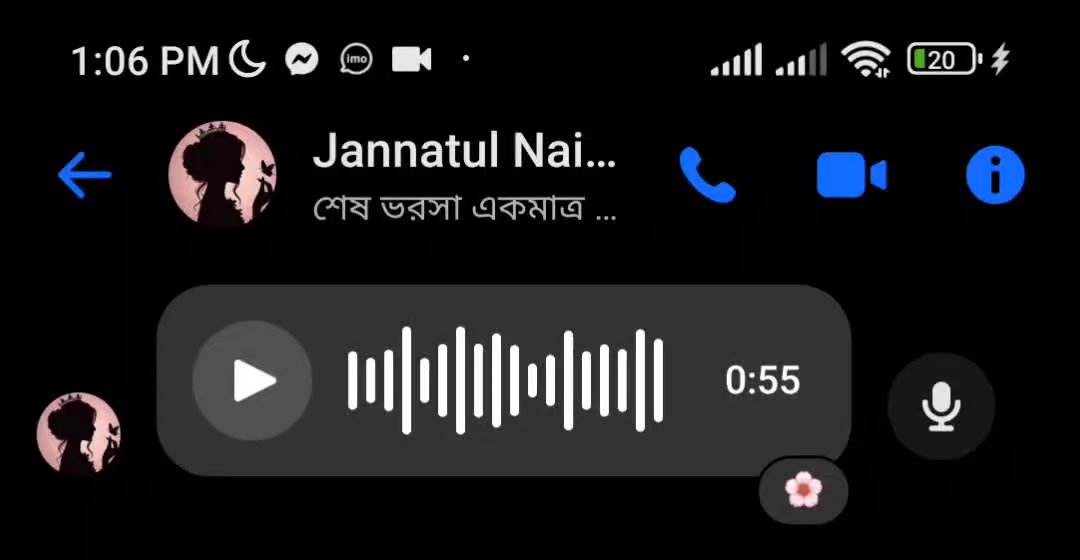 @Voice Of Jannatul