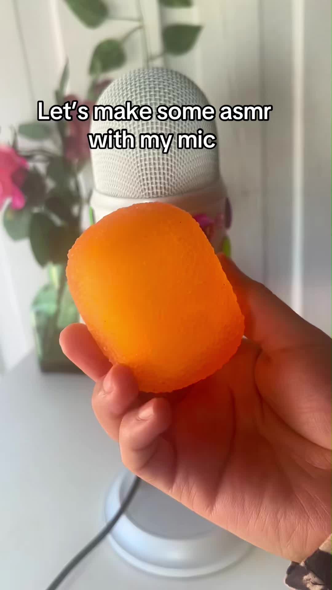 @fhchbbh