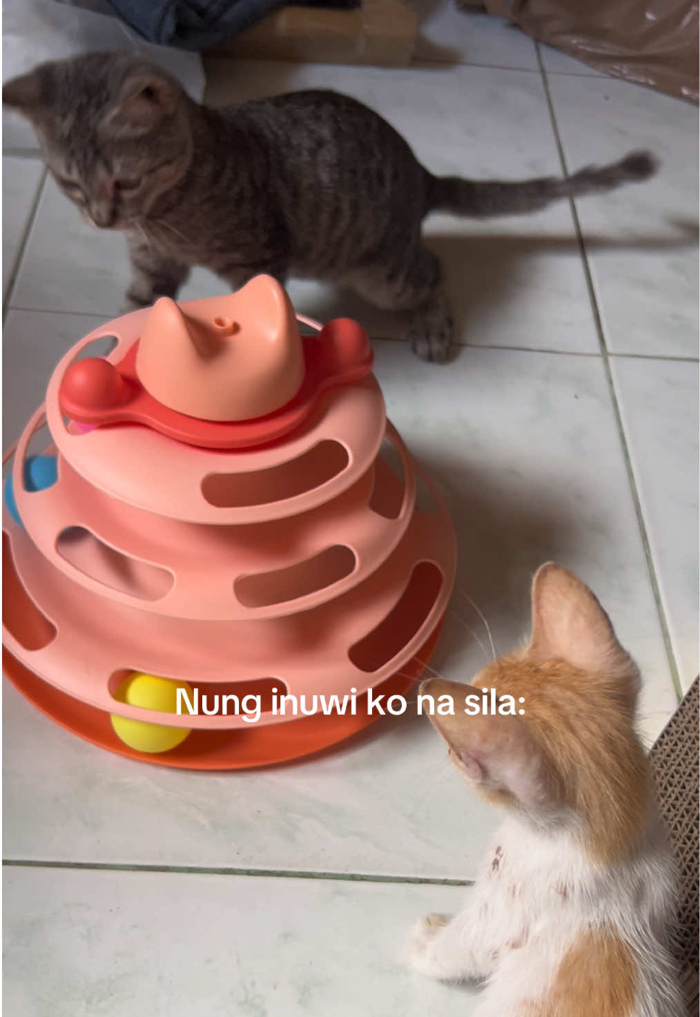 @monami calls u pspsps