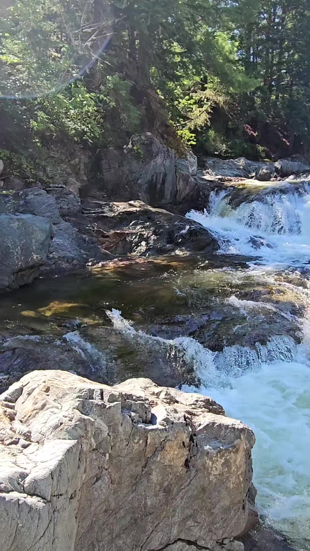 @Hiking_n'_Shit 🇨🇦
