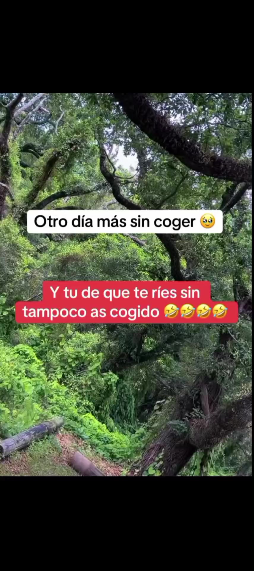 @🇪&nbsp;🇩&nbsp;🇺&nbsp;🇦&nbsp;🇷&nbsp;🇩&nbsp;🇴 🇲🇽