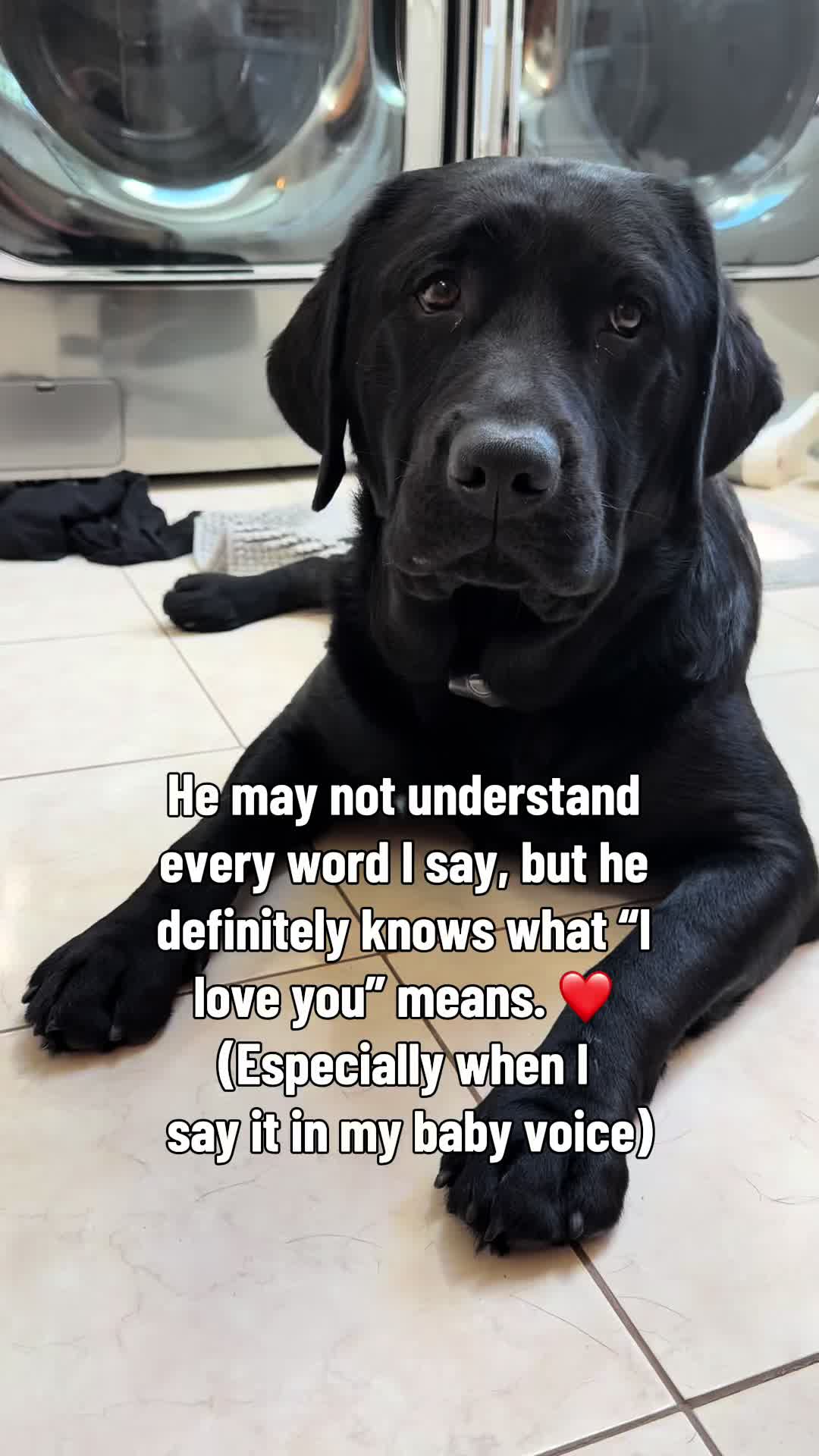 @DennisTheBlackLab