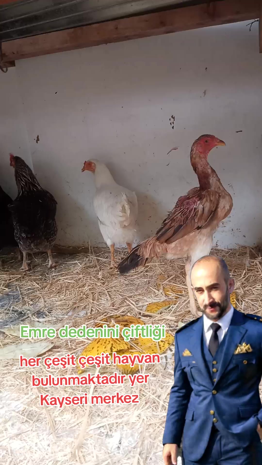 @nefretimsin dünya
