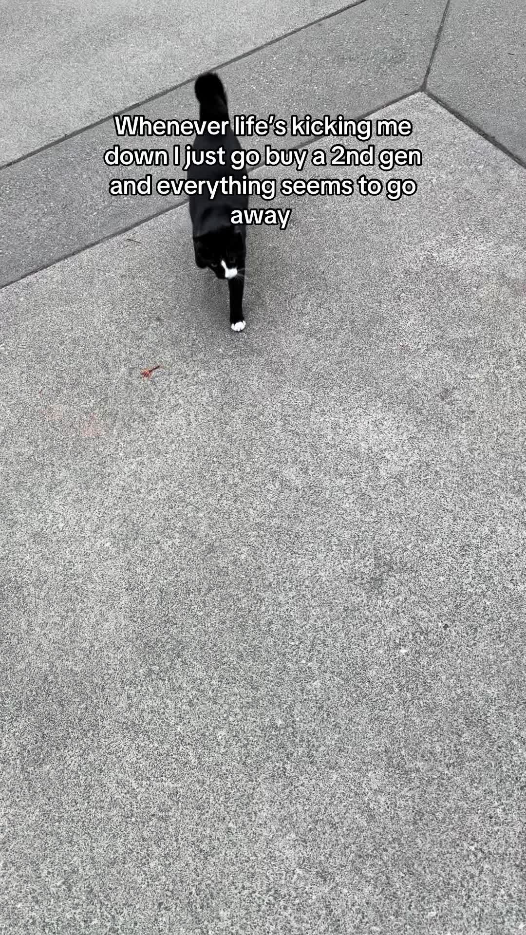 @chase24v