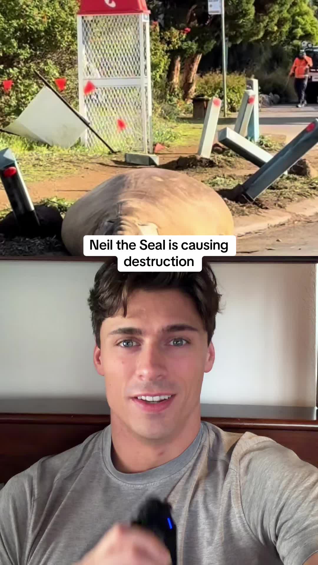 @NoahGlennCarter