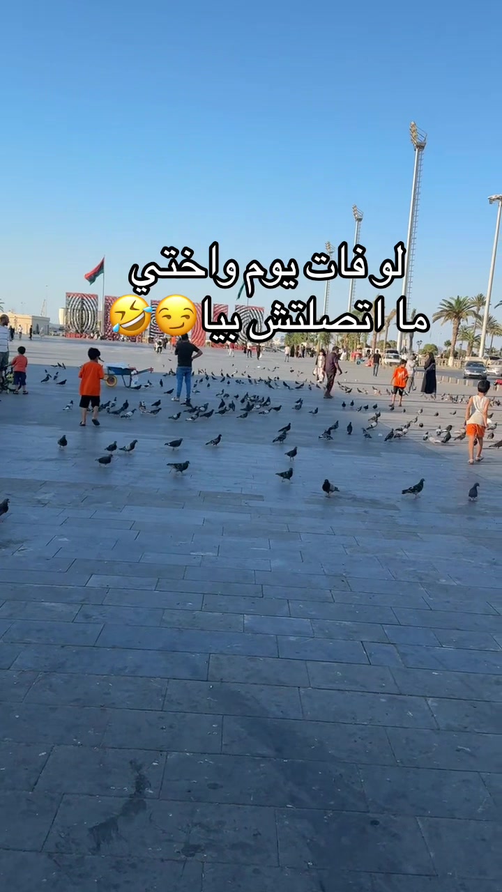 @Amwaj Bin Ashour