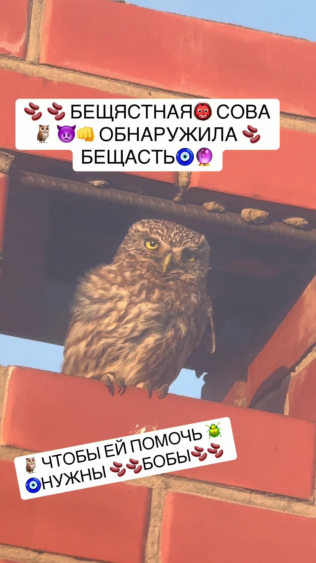 @zabuvi
