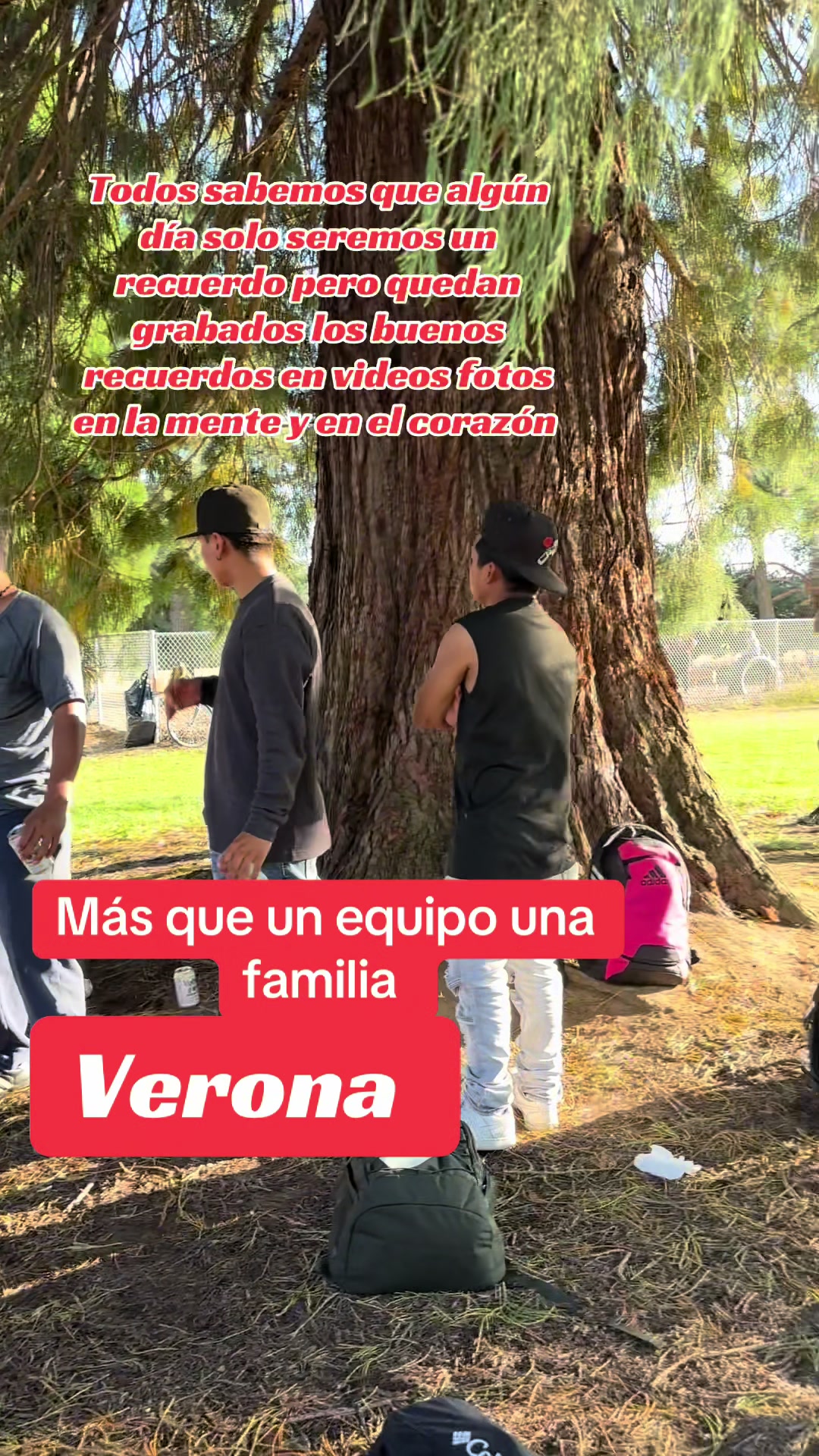 @Gildardo De León