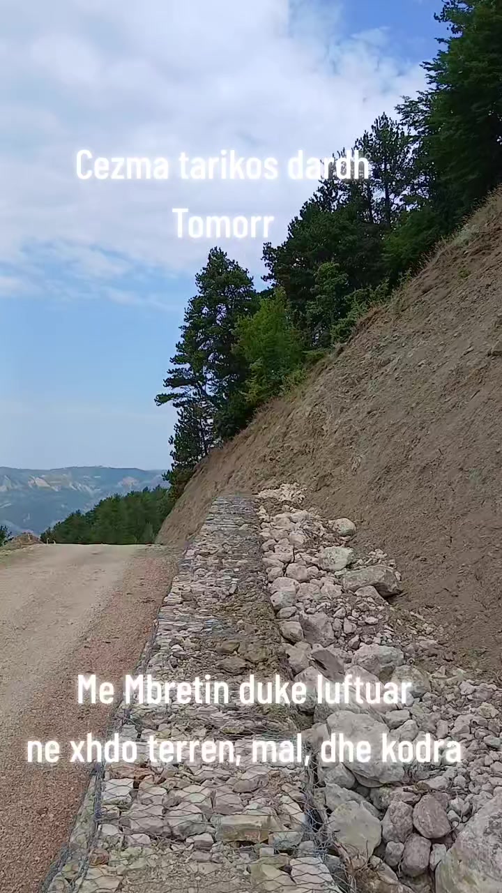 @👑 karrotrec_Berati👑