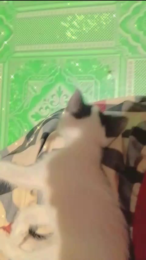 @hiimprincess