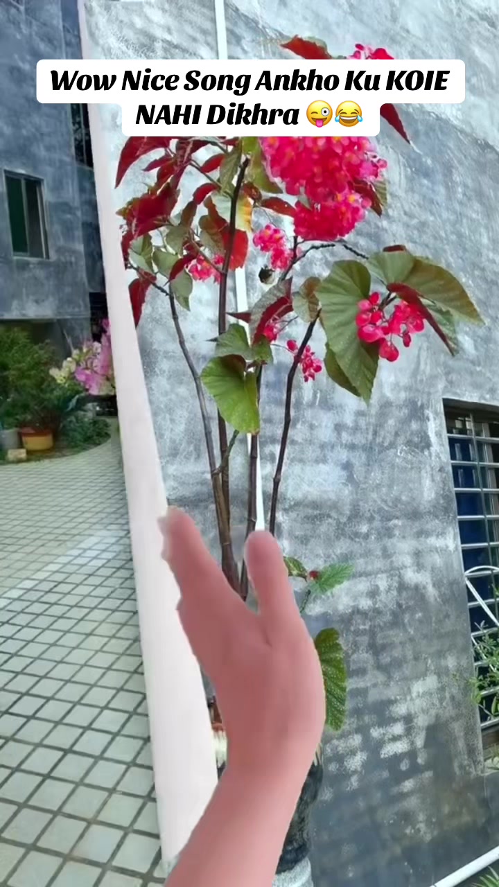 @Lubnna0418