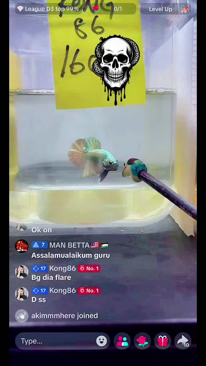 @Kong86
