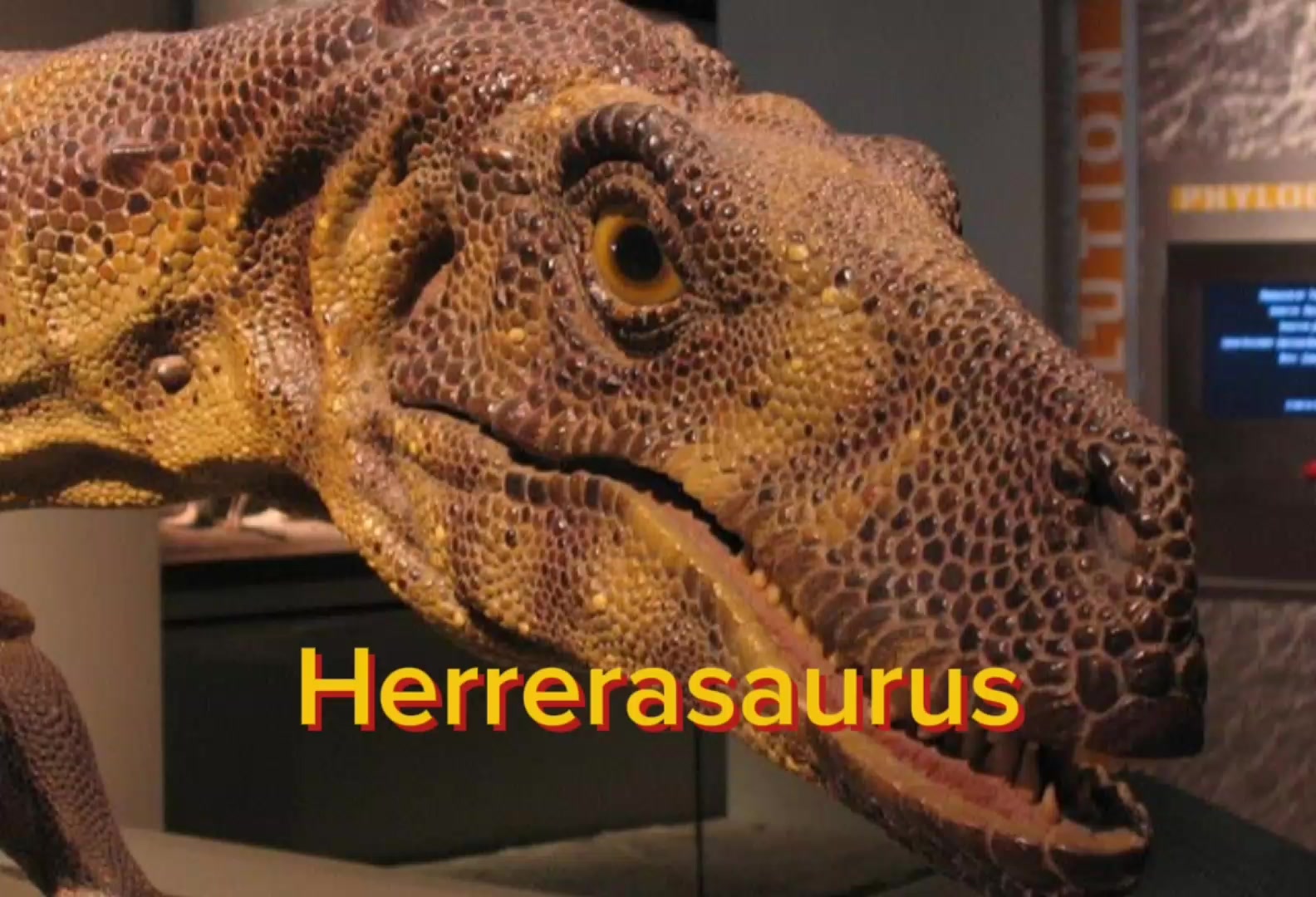 @Matrexdino TEA