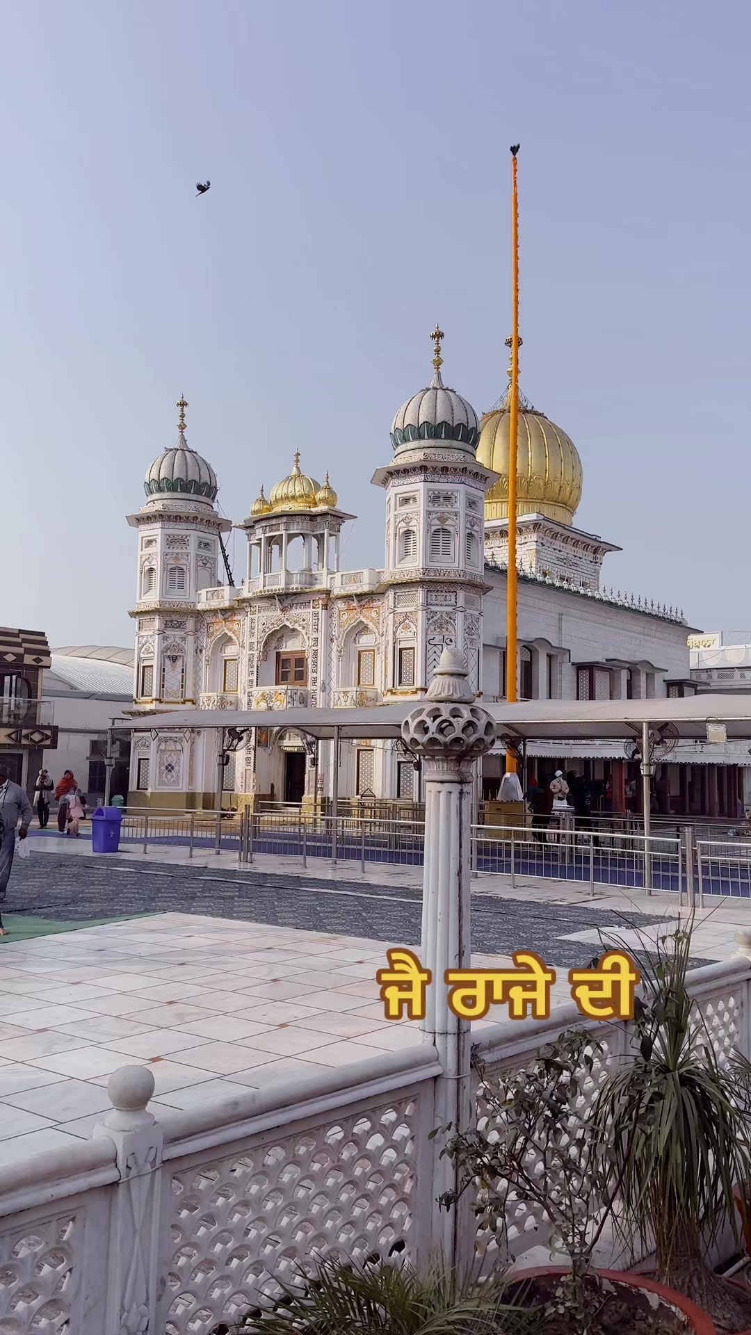 @mandeepsaini2007