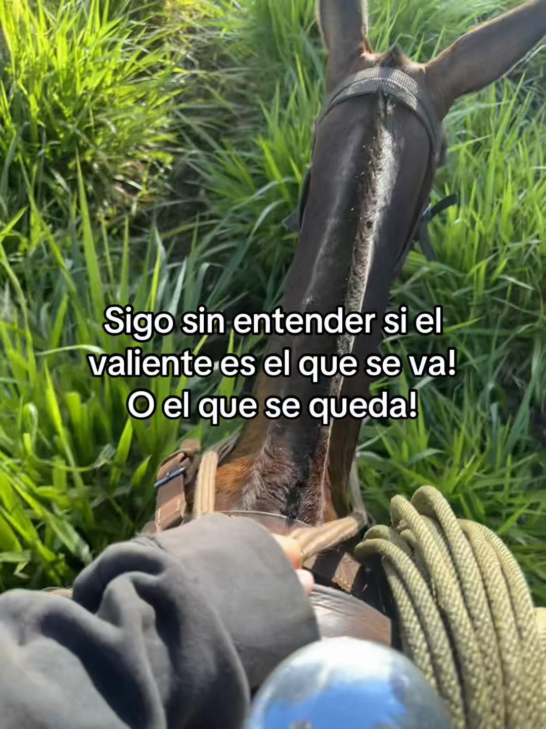 @FER❤️