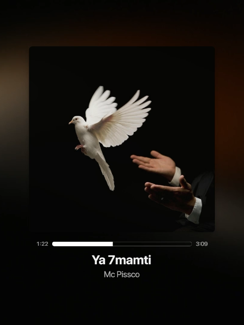 @zayxbimo