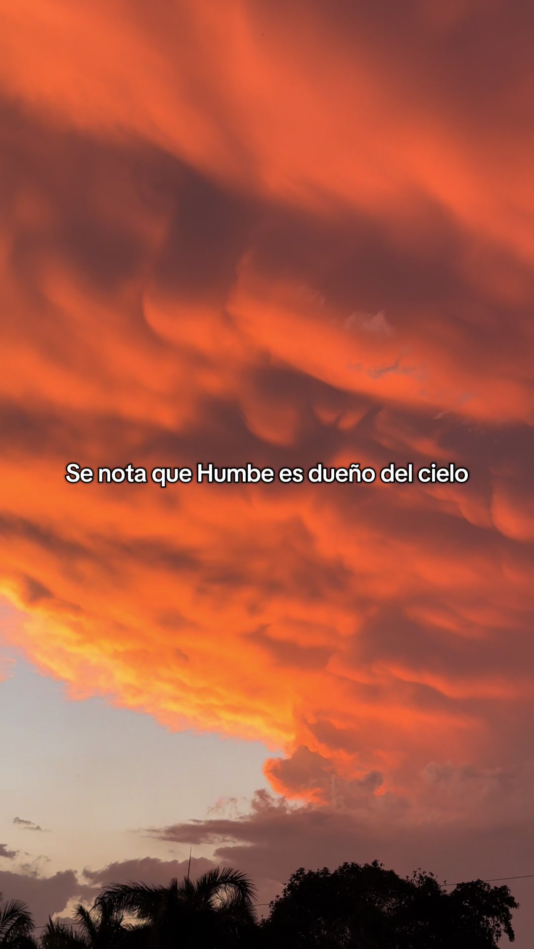 @Adri ݁⋆★˚。 ⋆