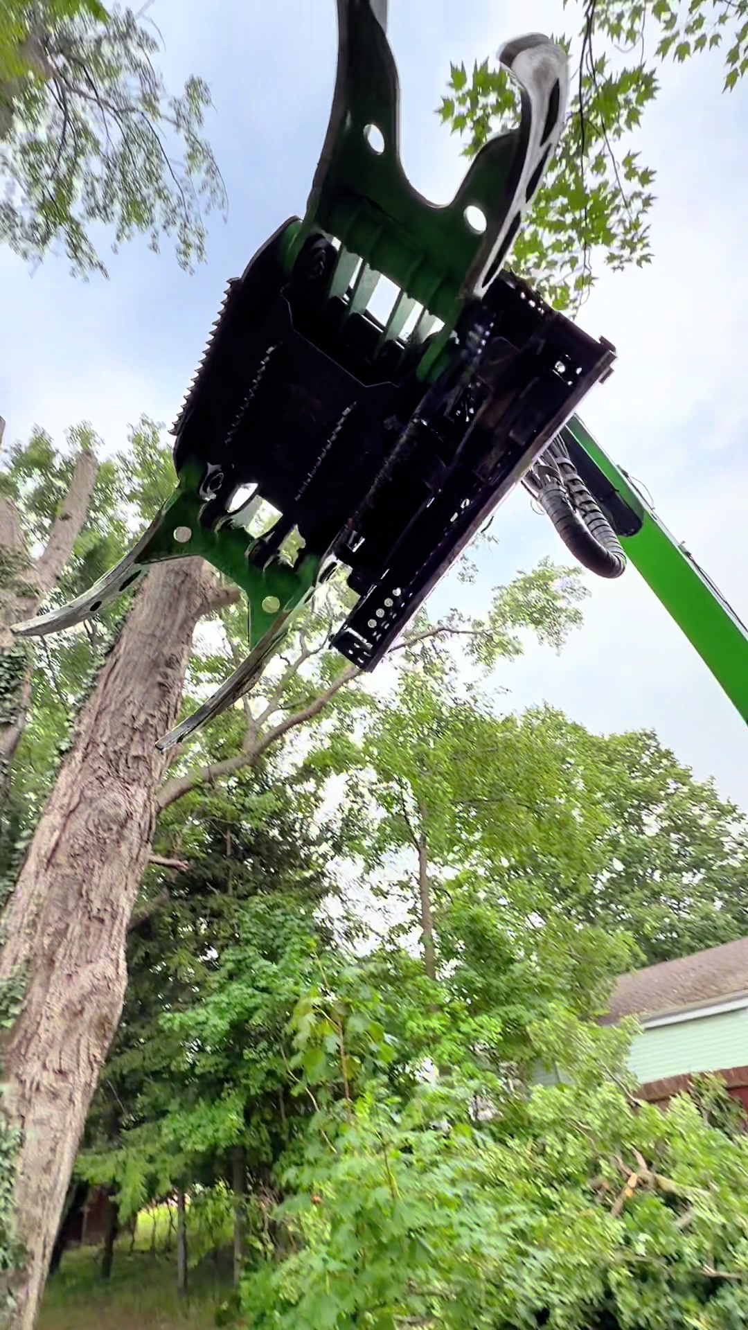 @kravitztreeservice
