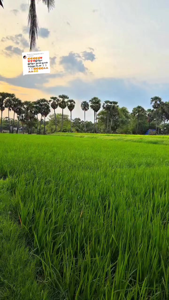 @பேப்பர் ஐடி    248 🌹1