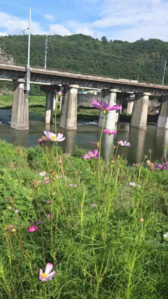 @법무사