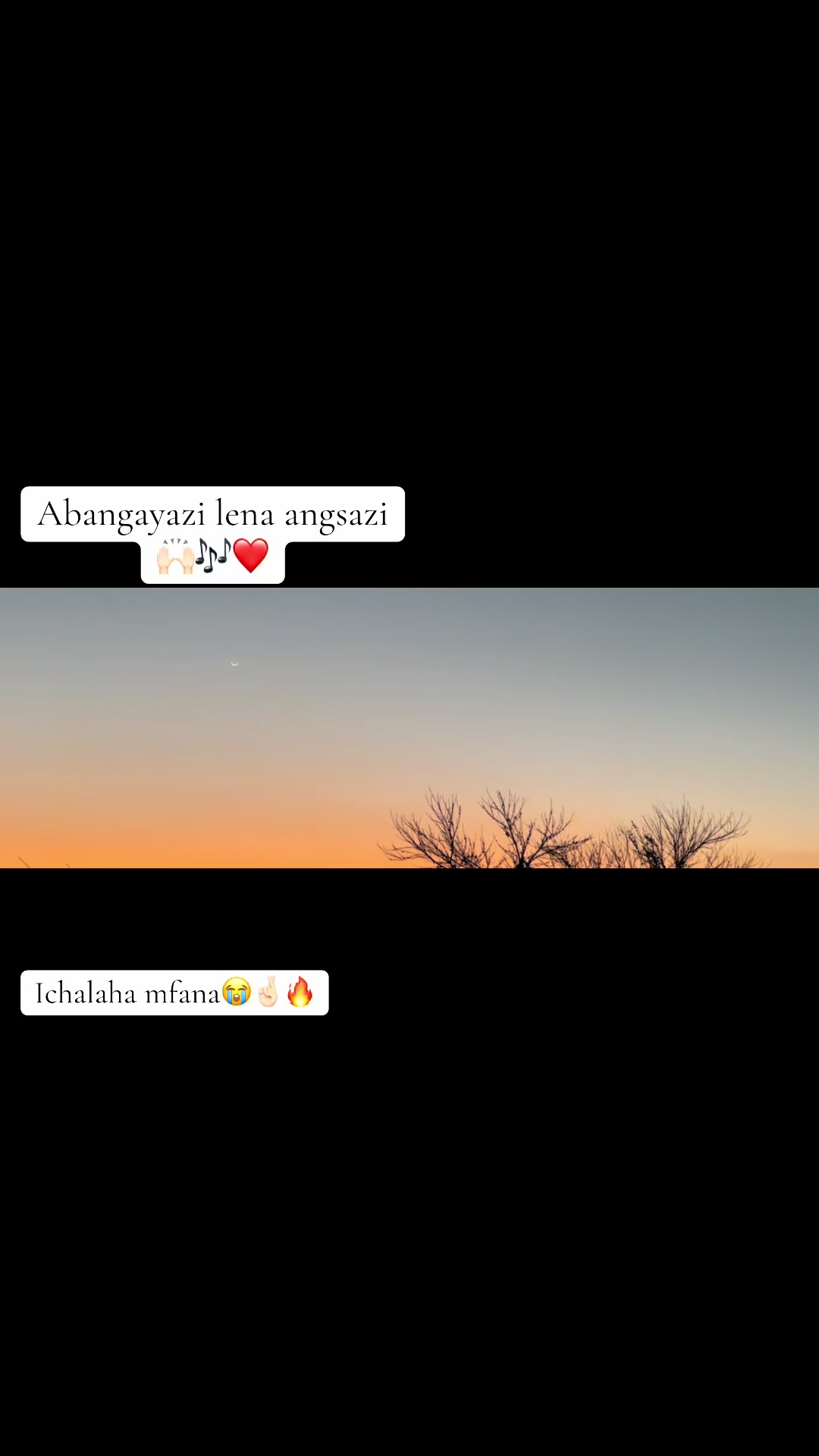 @MaNgwenya 👑🐅
