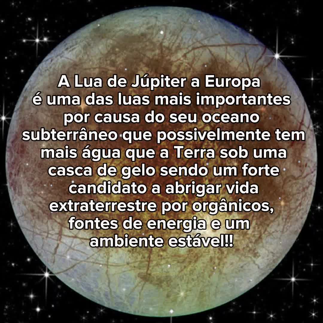 @— ᗰOTᗩ ⋆. ☆