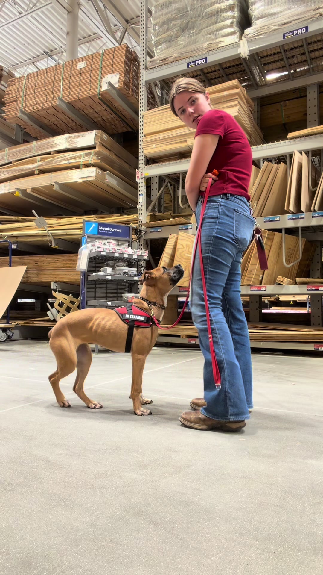 @driven.k9s