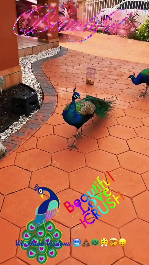 @Jacquie28