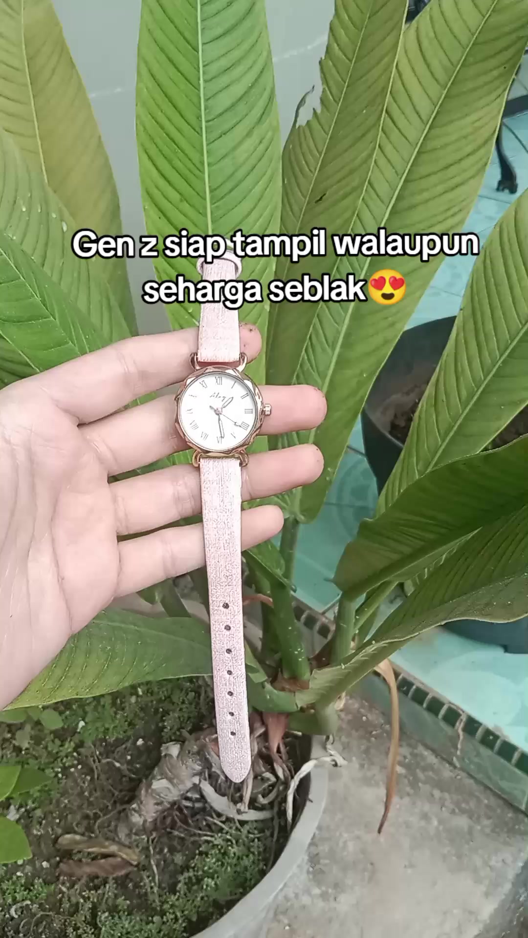 @S-tetik 🛒