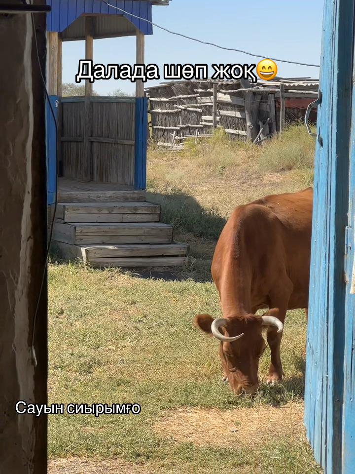@Erkhat