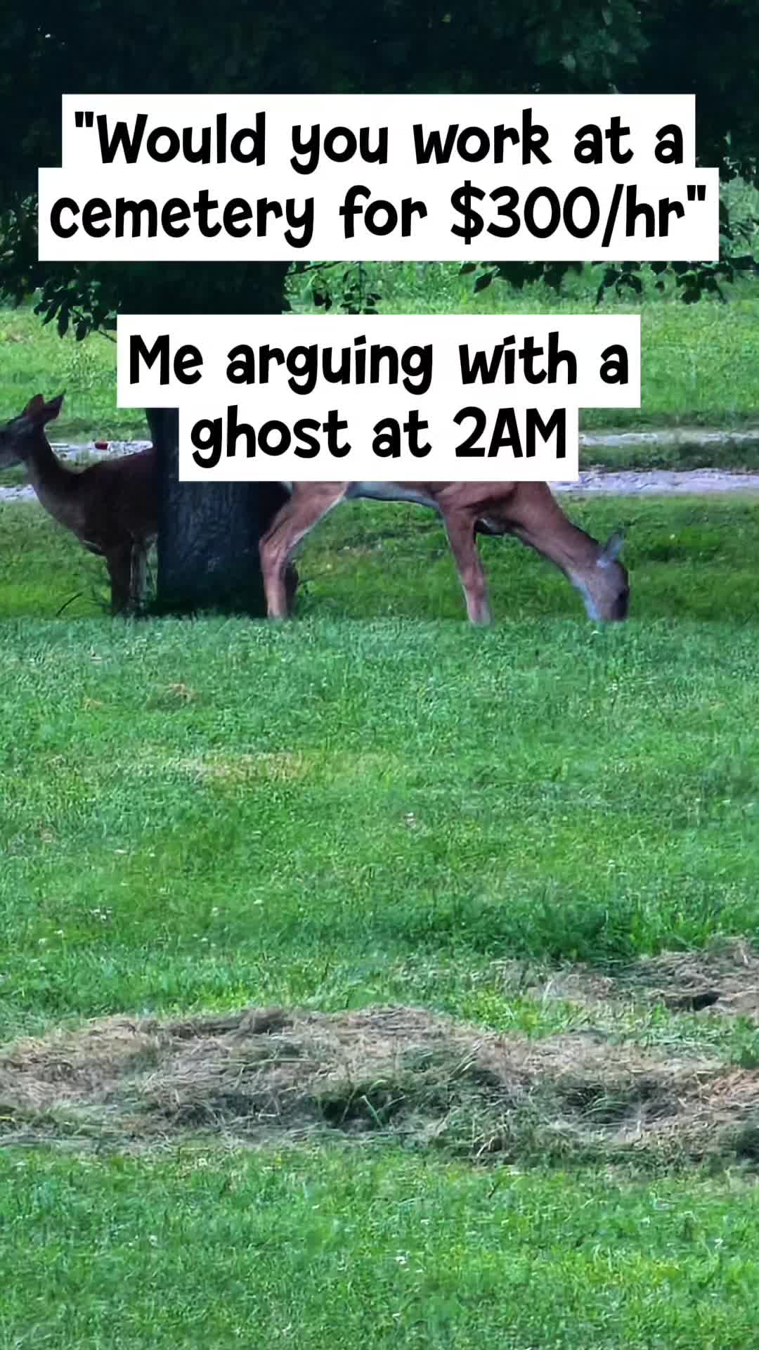 @Jessica Dawson 🦖