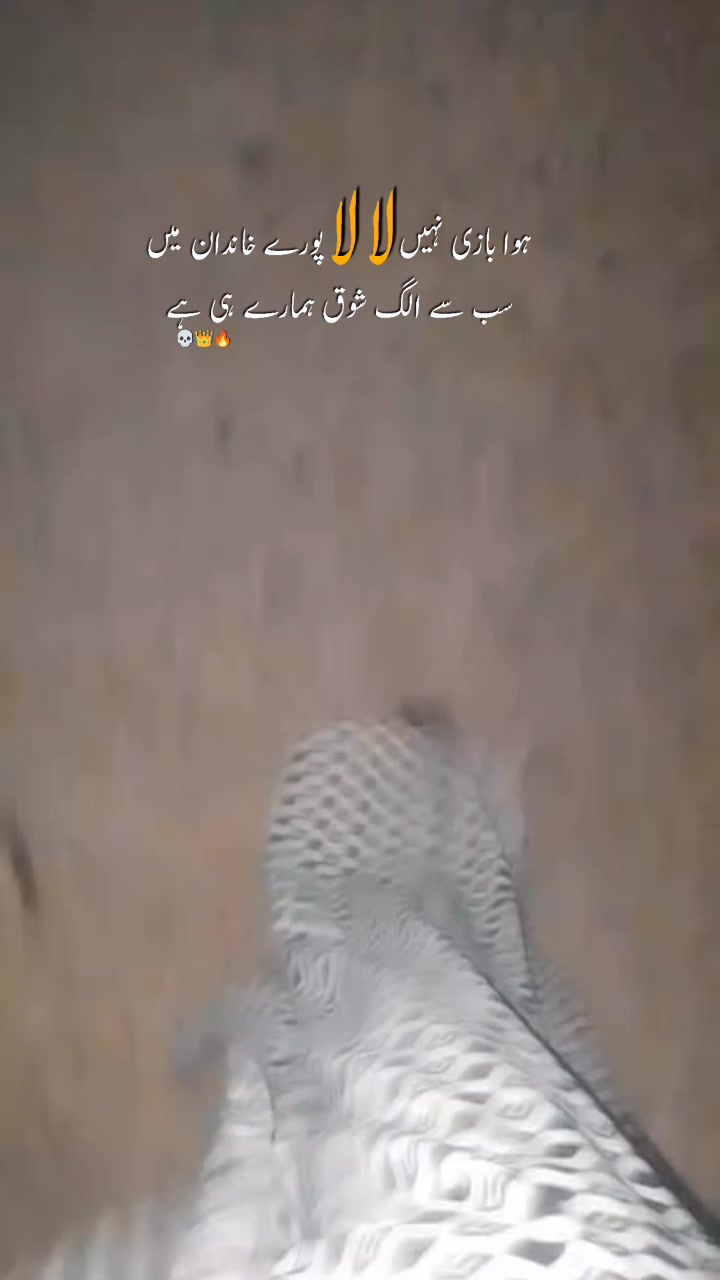 @ziddi girl💞💕❤