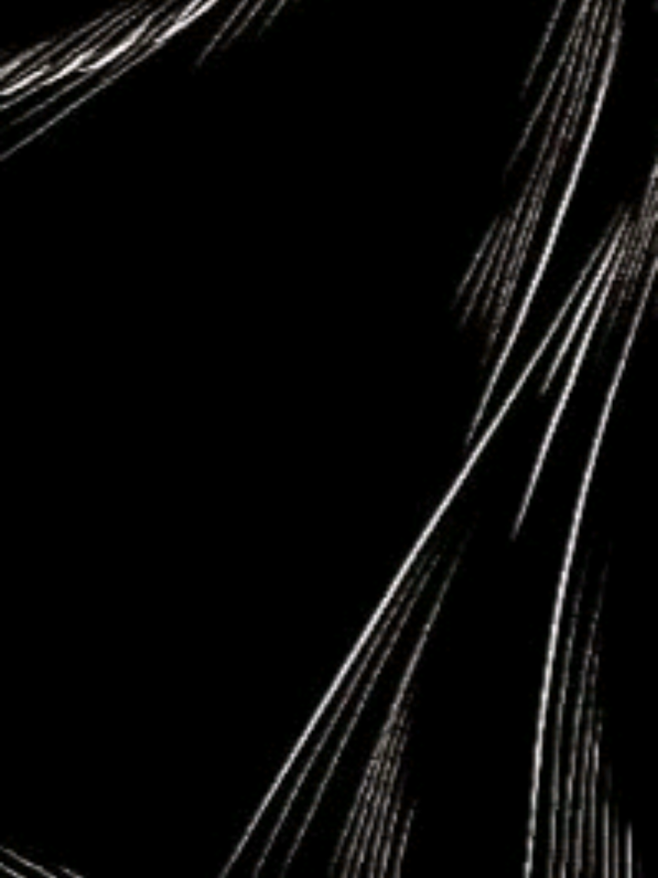 @mike🕸️