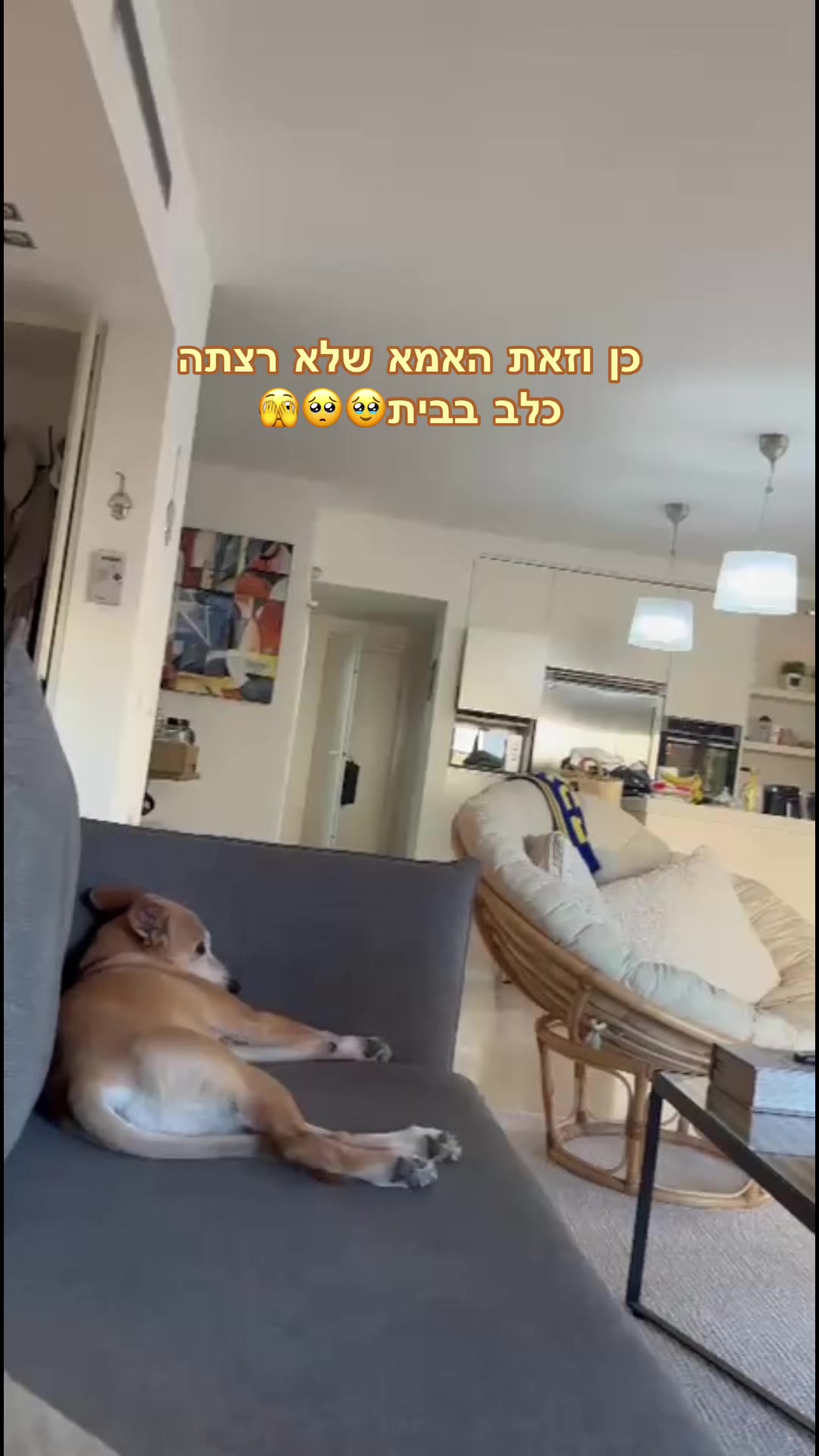 @Shira