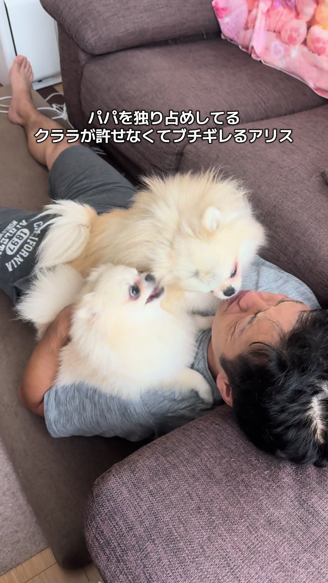 @なべちゃんチ🚐🐶🍊