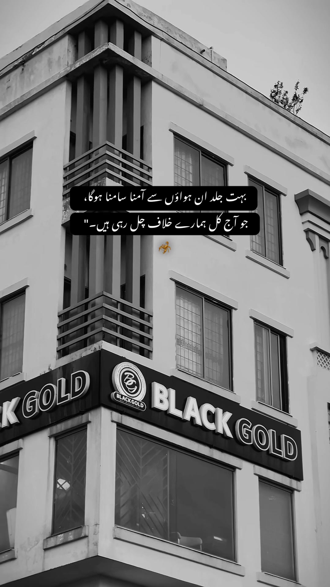 @&bull; 𝐒𝐇𝐀𝐌 ✦