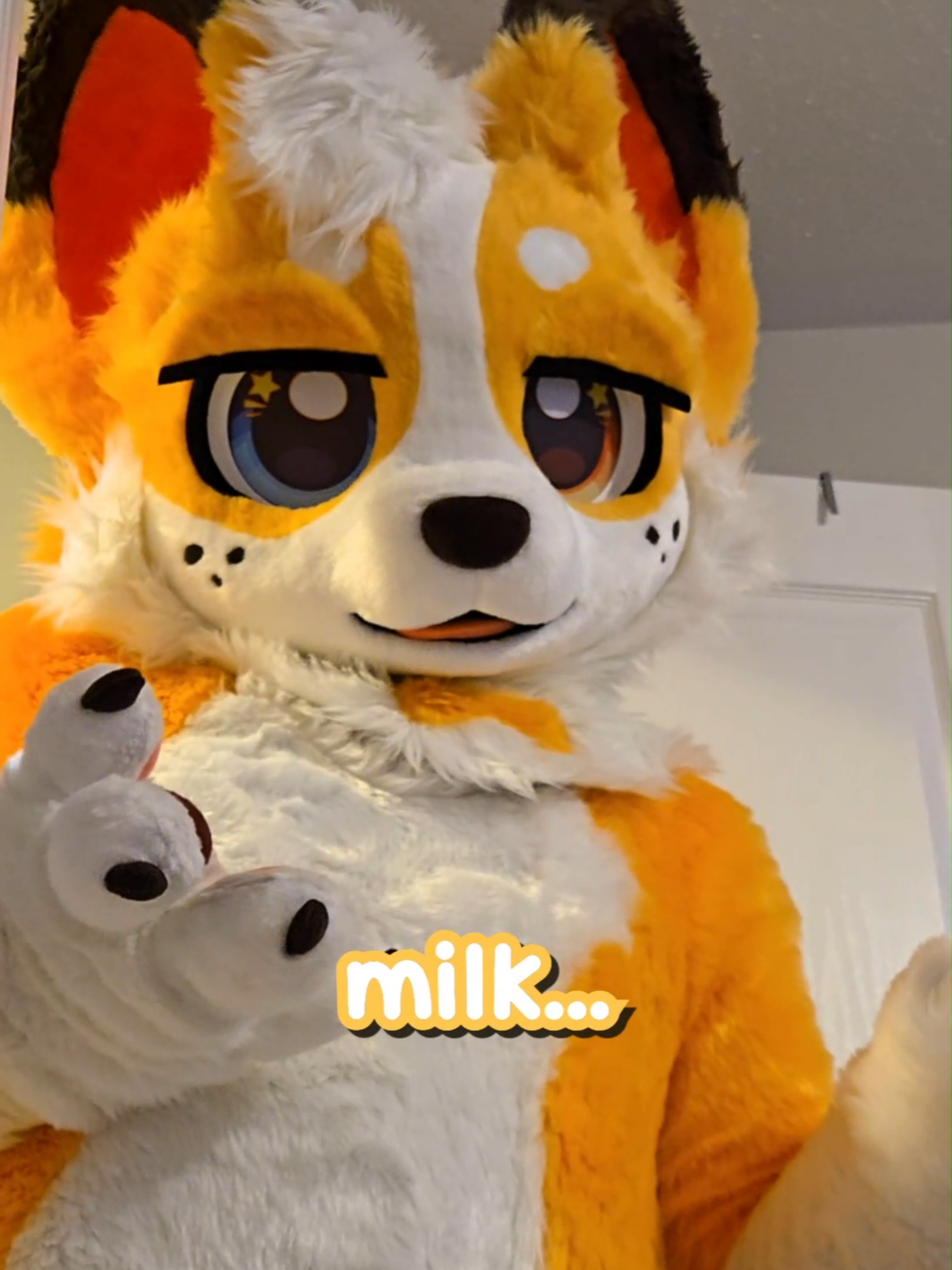 @Corgi