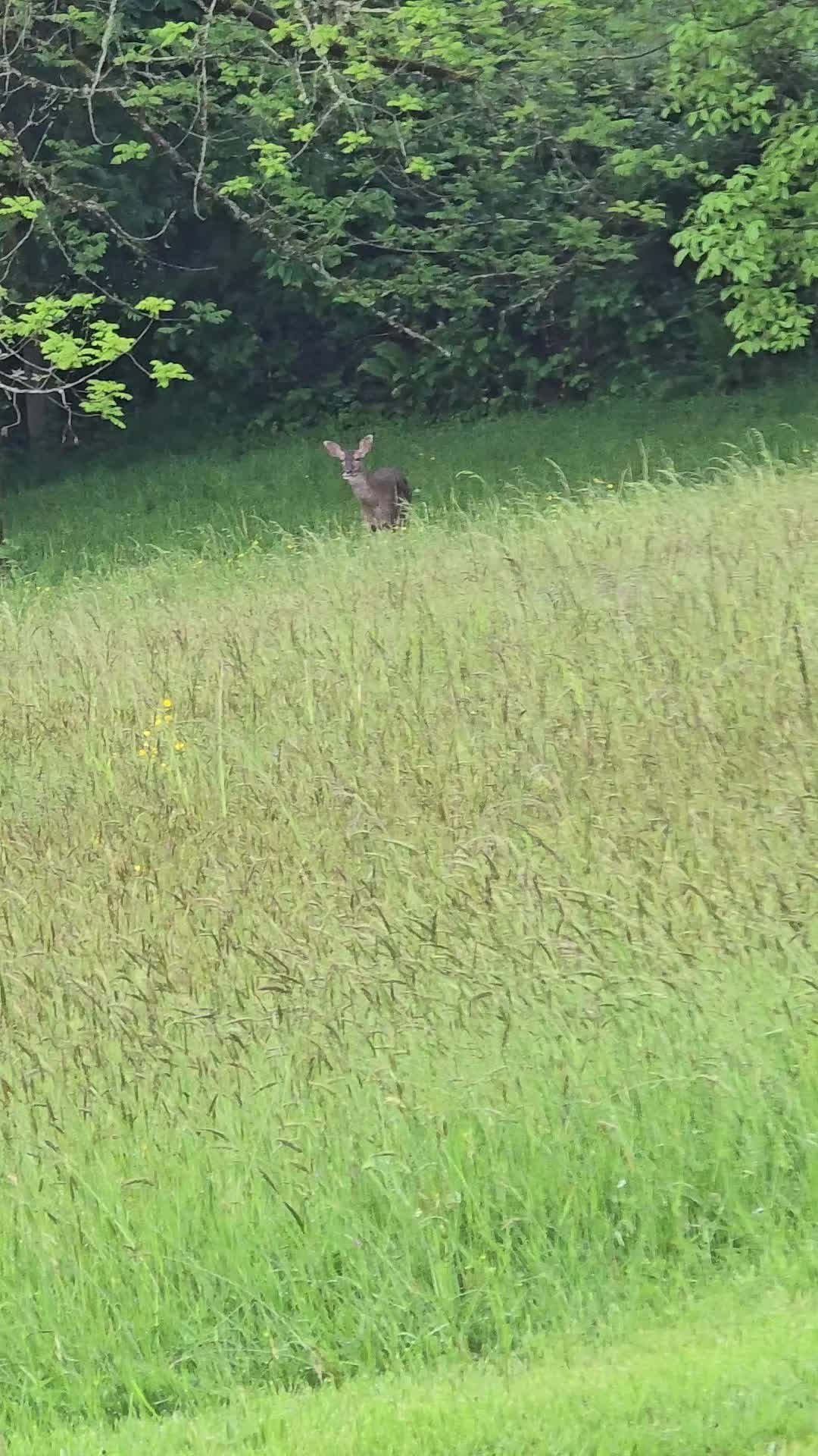 @Ashley (Sky)