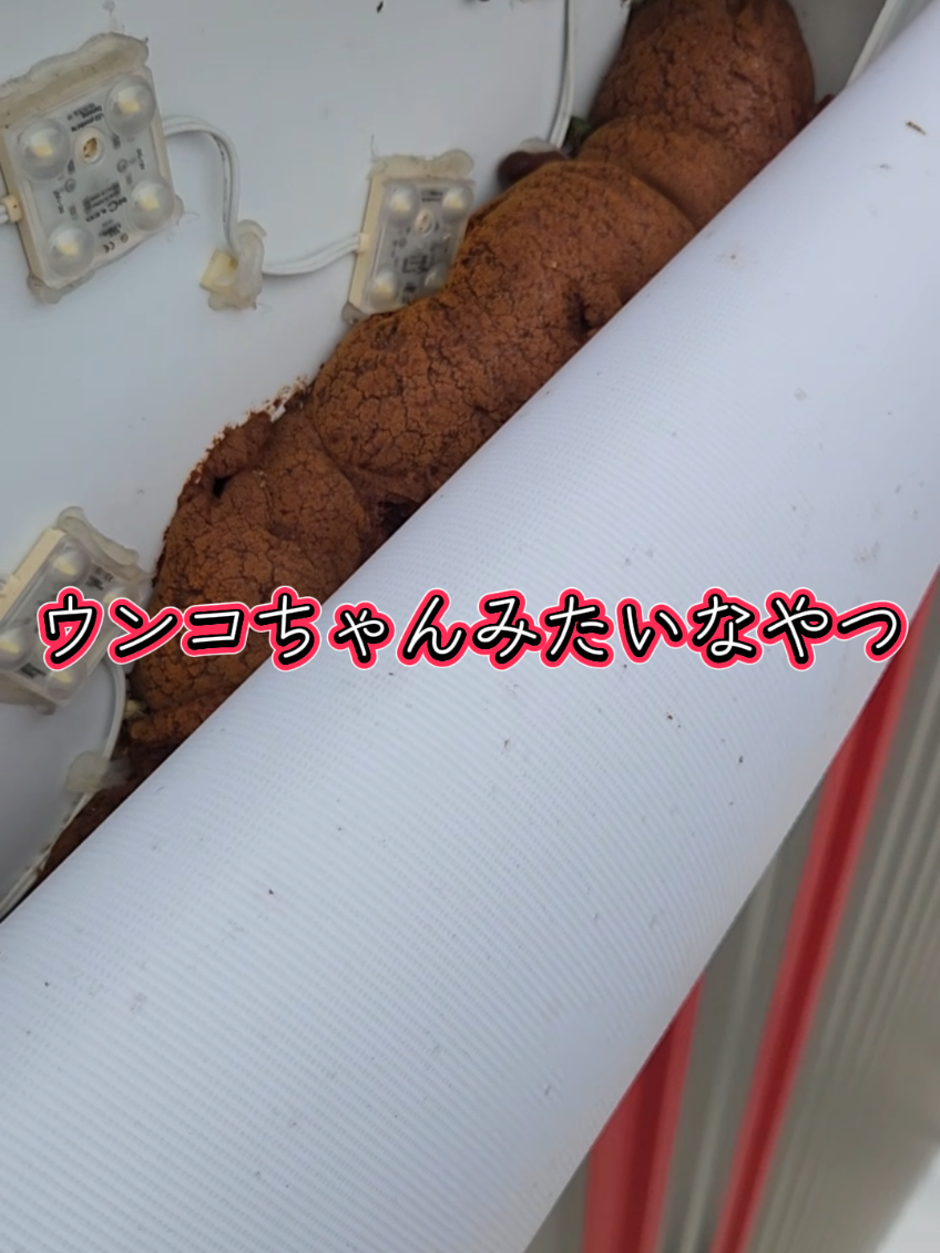 @ãããð§æŠð§TAKESHI ENAMIðº