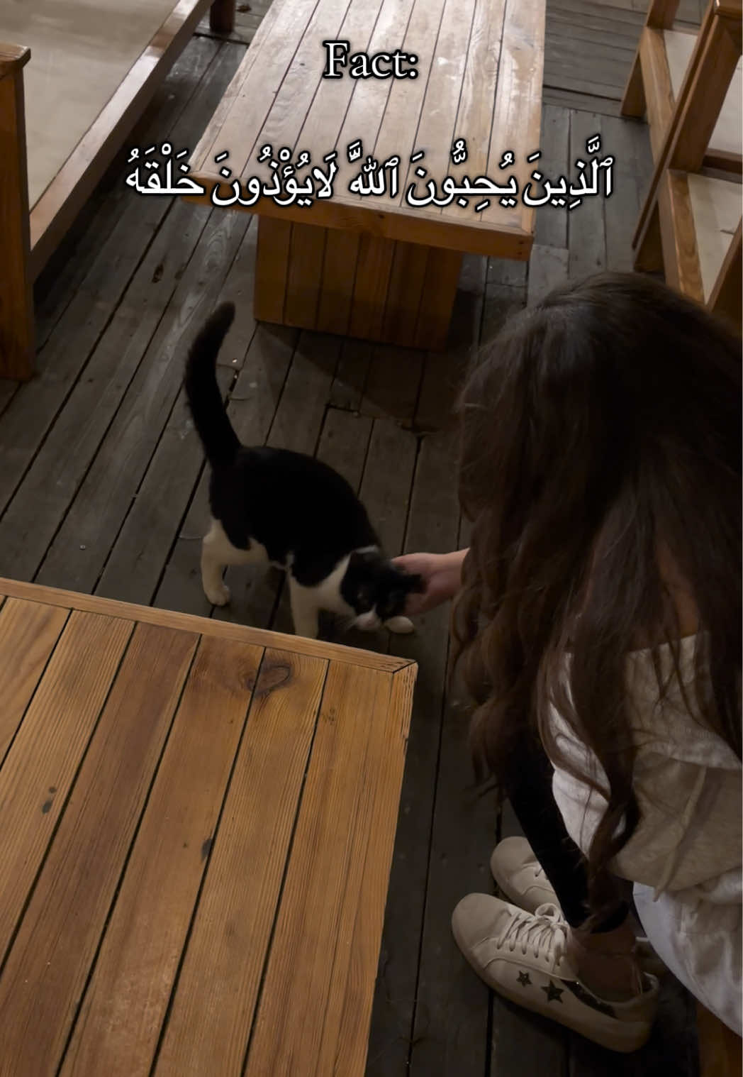 @Safaamarzouk123