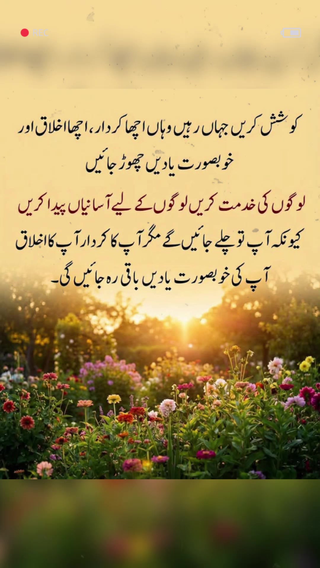 @❦︎❥︎mehar✰༆ ᶻᵘᵇᵃⁱʳ ༎ຶ✰