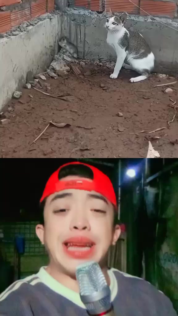 @⛓️Joji R. Boco 🌴🥥 🌥️