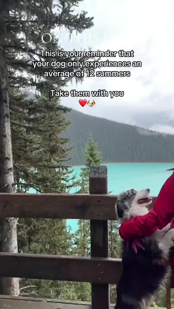 @🥾 shortstuff.explores 🥾🇨🇦