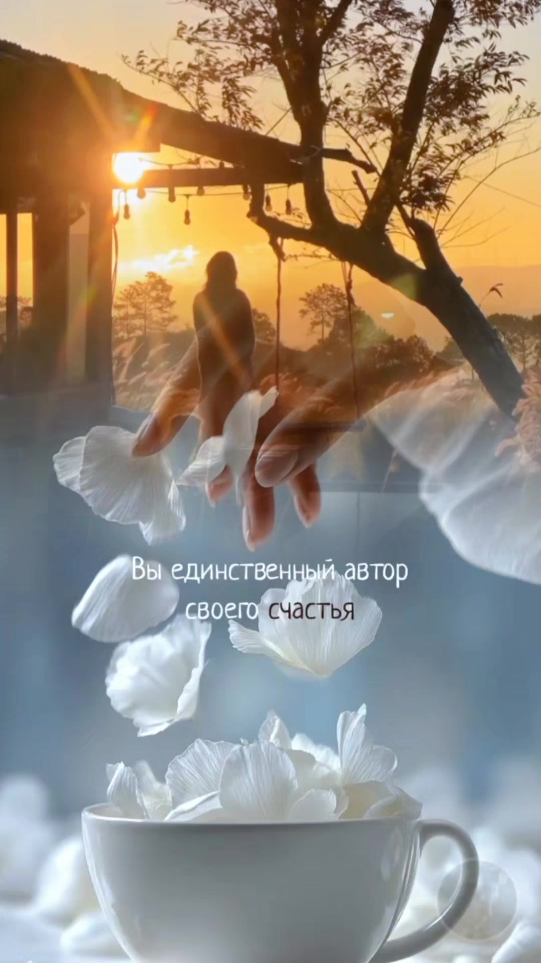 @꧁༺ 𝓝𝓲𝓴𝓪𝓝 ༻꧂