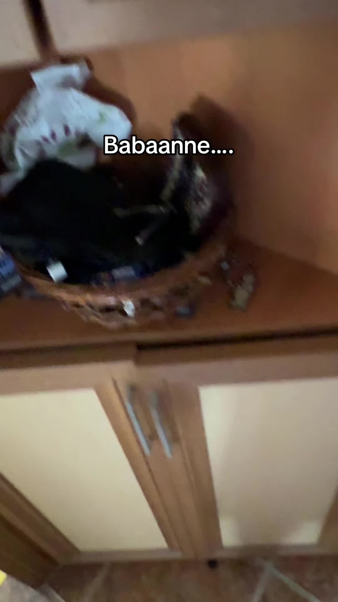 @poyrazxgr