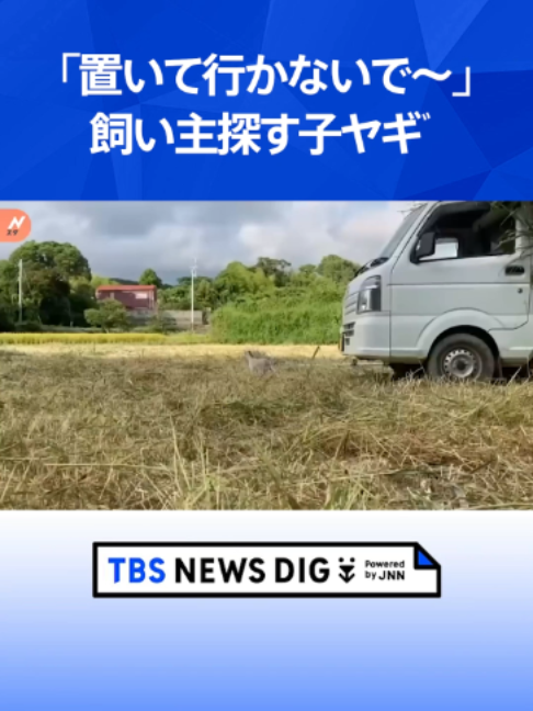 @TBS NEWS DIG Powered by JNN