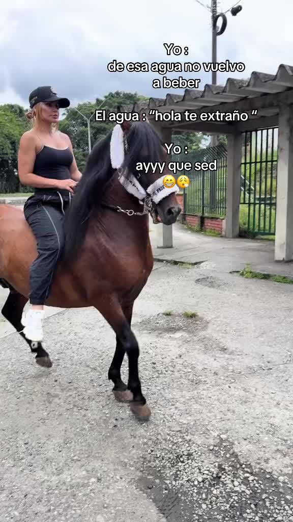 @🐴TATA🐴 🐴PROFESOR DEJM🐴