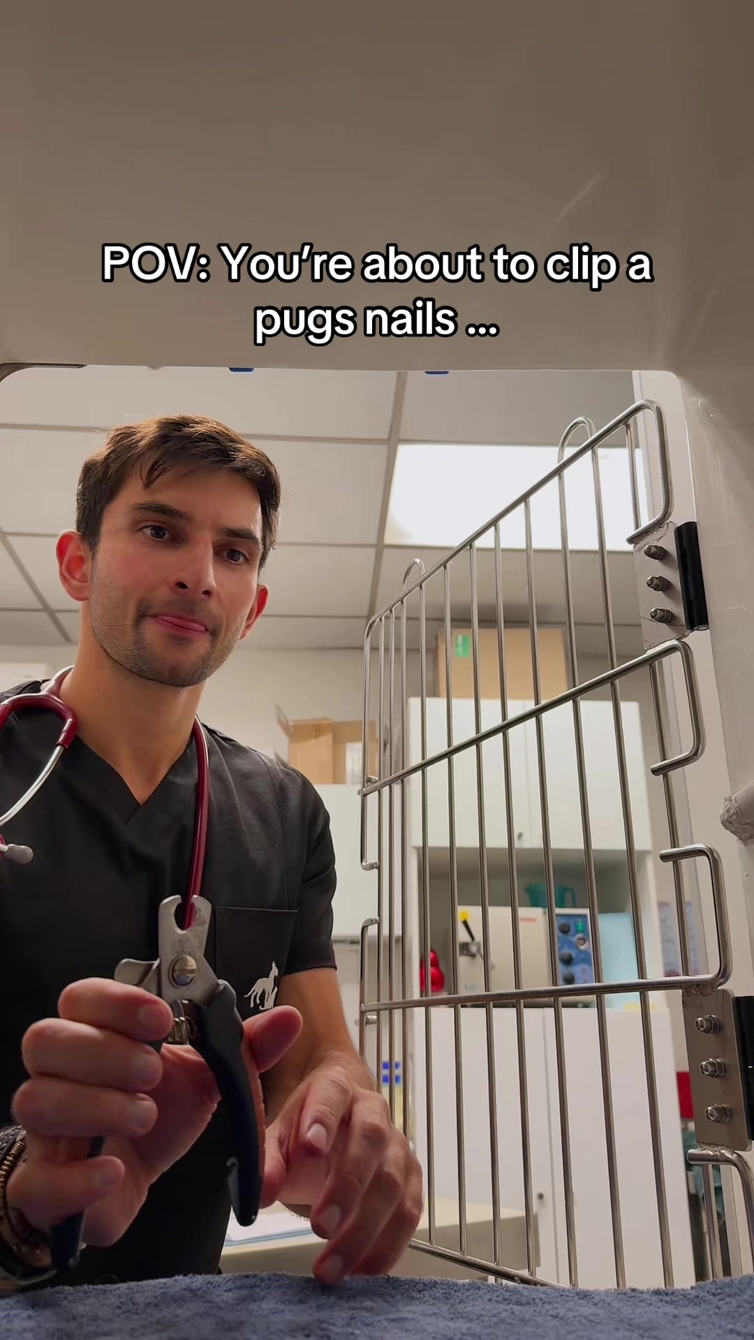 @Amir the vet
